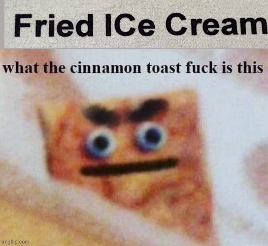 I’ve given up | image tagged in what the cinnamon toast f is this | made w/ Imgflip meme maker