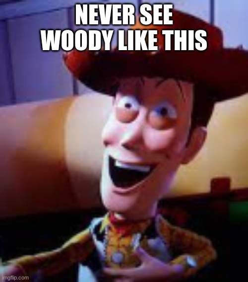 don`t just don`t | NEVER SEE WOODY LIKE THIS | image tagged in do not cite the deep magic to me witch | made w/ Imgflip meme maker