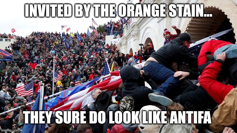 Capitol Terrorists | INVITED BY THE ORANGE STAIN... THEY SURE DO LOOK LIKE ANTIFA | image tagged in capitol terrorists | made w/ Imgflip meme maker
