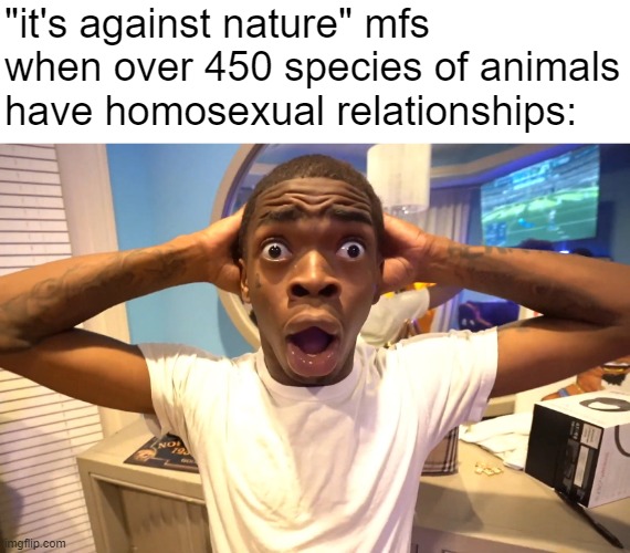 "it's against nature" mfs when over 450 species of animals have homosexual relationships: | made w/ Imgflip meme maker