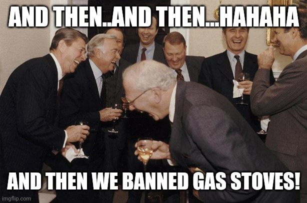 And Then He Said | AND THEN..AND THEN...HAHAHA; AND THEN WE BANNED GAS STOVES! | image tagged in and then he said | made w/ Imgflip meme maker