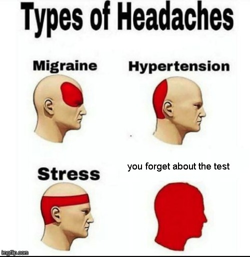 Types of Headaches meme | you forget about the test | image tagged in types of headaches meme | made w/ Imgflip meme maker