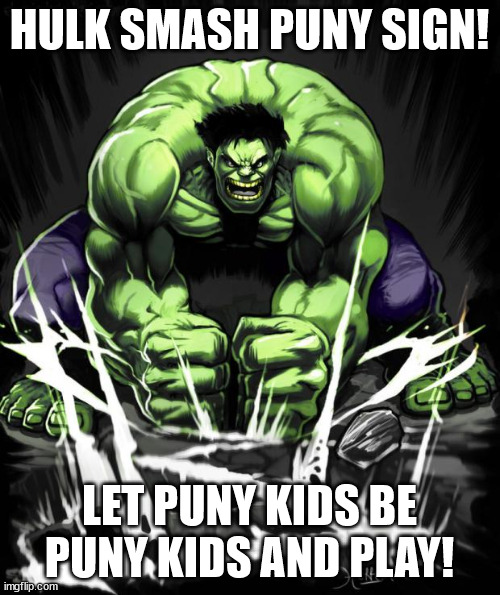 Hulk Smash | HULK SMASH PUNY SIGN! LET PUNY KIDS BE PUNY KIDS AND PLAY! | image tagged in hulk smash | made w/ Imgflip meme maker