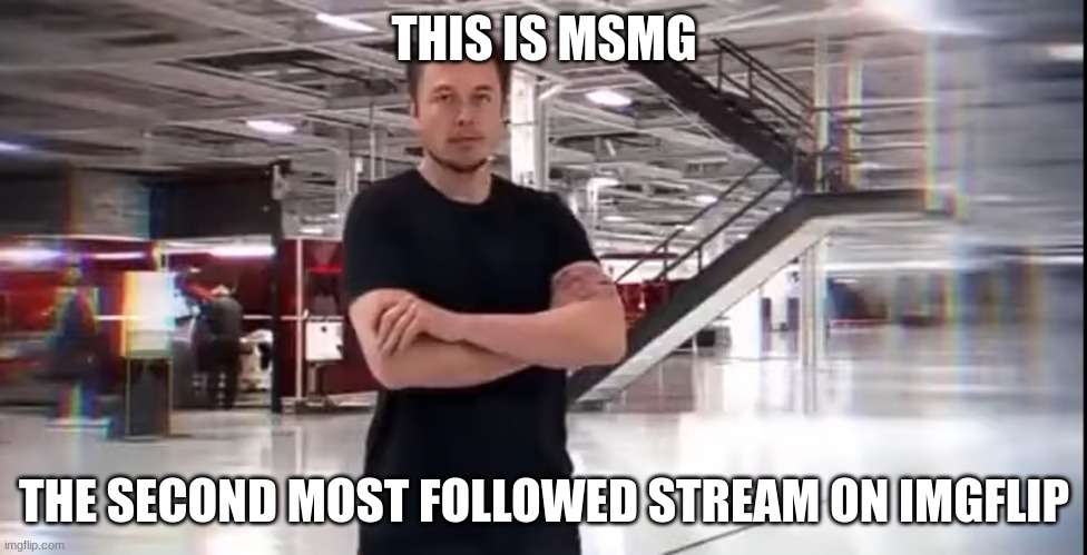 2nd most damn | THIS IS MSMG; THE SECOND MOST FOLLOWED STREAM ON IMGFLIP | image tagged in this is elon musk,memes,msmg | made w/ Imgflip meme maker