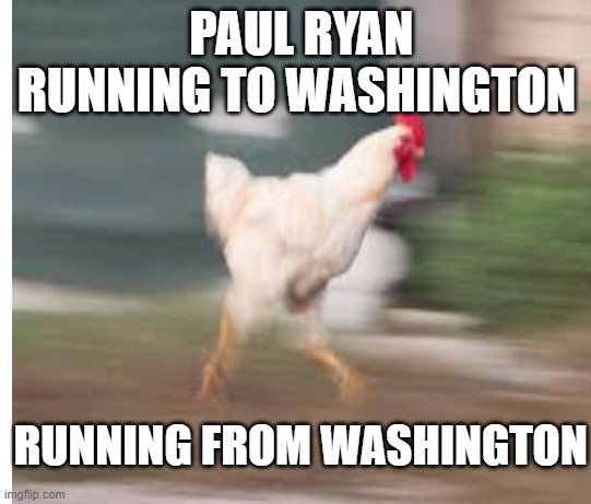 The politics of Mr. Ryan | PAUL RYAN
RUNNING TO WASHINGTON; RUNNING FROM WASHINGTON | image tagged in donald trump,republicans,paul ryan,chicken,safe space | made w/ Imgflip meme maker