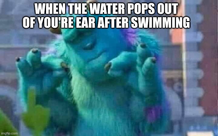 Sully shutdown | WHEN THE WATER POPS OUT OF YOU'RE EAR AFTER SWIMMING | image tagged in sully shutdown | made w/ Imgflip meme maker