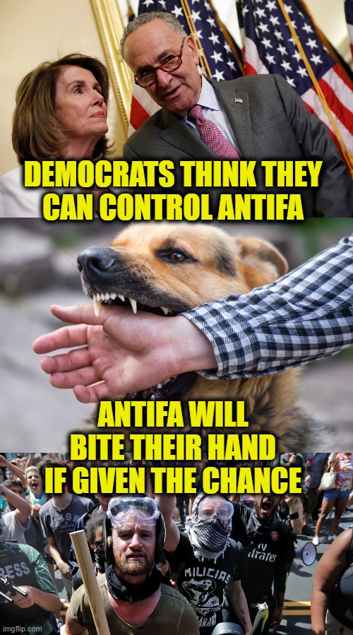Bit the hand that feeds it |  DEMOCRATS THINK THEY
CAN CONTROL ANTIFA; ANTIFA WILL
BITE THEIR HAND
IF GIVEN THE CHANCE | image tagged in antifa | made w/ Imgflip meme maker