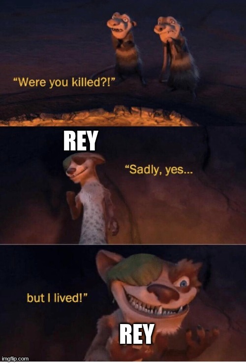 Rise of Skywalker sucked | REY; REY | image tagged in sadly yes but i lived | made w/ Imgflip meme maker