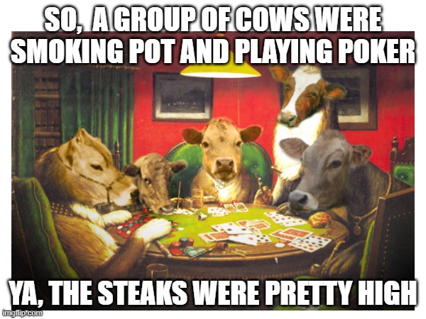 Cows playing poker | SO,  A GROUP OF COWS WERE SMOKING POT AND PLAYING POKER; YA, THE STEAKS WERE PRETTY HIGH | image tagged in memes,cows,pot,poker | made w/ Imgflip meme maker