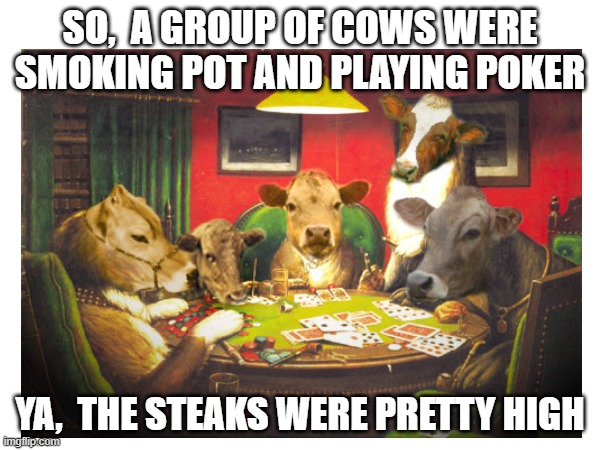 Cows playing poker | SO,  A GROUP OF COWS WERE SMOKING POT AND PLAYING POKER; YA,  THE STEAKS WERE PRETTY HIGH | image tagged in memes,cows,pot,poker | made w/ Imgflip meme maker
