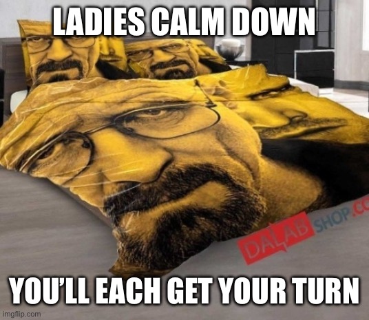 Breaking Bed | LADIES CALM DOWN YOU’LL EACH GET YOUR TURN | image tagged in breaking bed | made w/ Imgflip meme maker