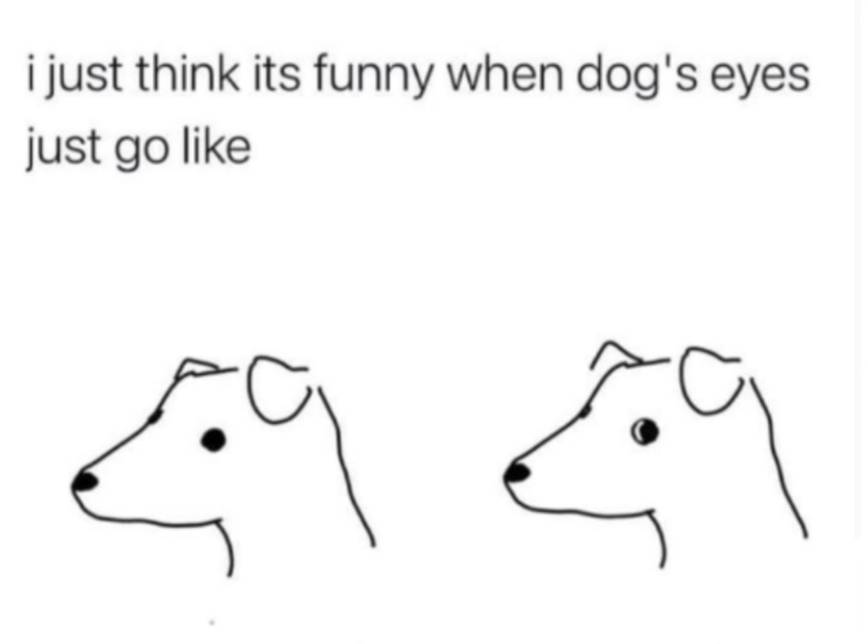 High Quality Dogs life Blank Meme Template