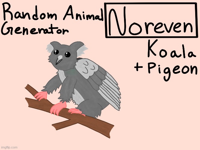 Koala + Pigeon | image tagged in drawing,original,art | made w/ Imgflip meme maker