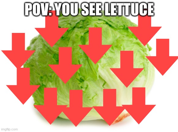 no no no no no | POV: YOU SEE LETTUCE | image tagged in lettuce | made w/ Imgflip meme maker
