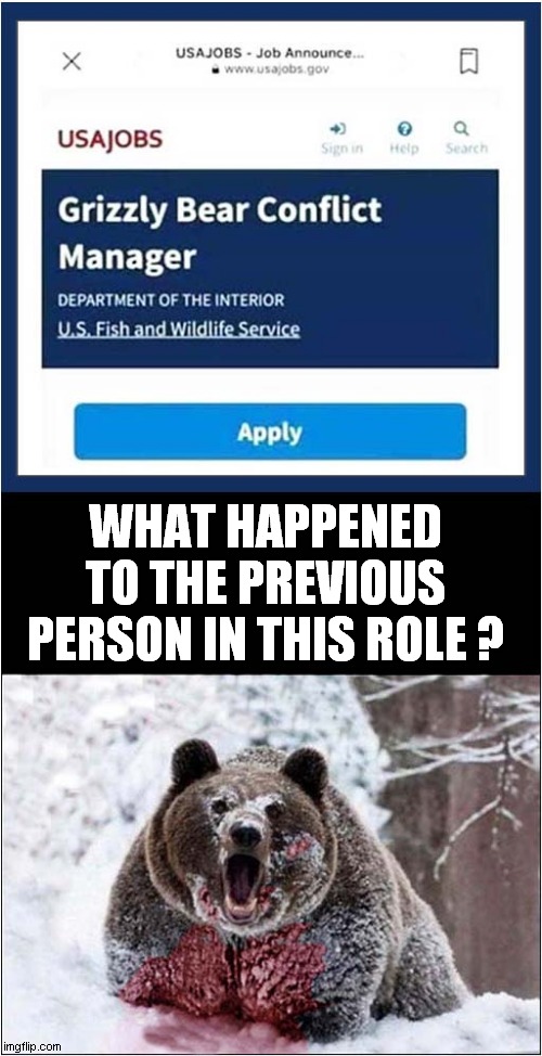 Fancy Working In The Great Outdoors ? | WHAT HAPPENED TO THE PREVIOUS PERSON IN THIS ROLE ? | image tagged in outdoors,jobs,grizzly bear,dark humour | made w/ Imgflip meme maker