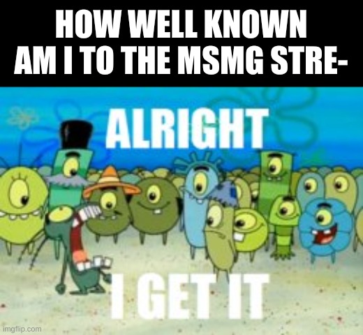 You got your answer the first time you did this trend why tf are you asking again | HOW WELL KNOWN AM I TO THE MSMG STRE- | made w/ Imgflip meme maker