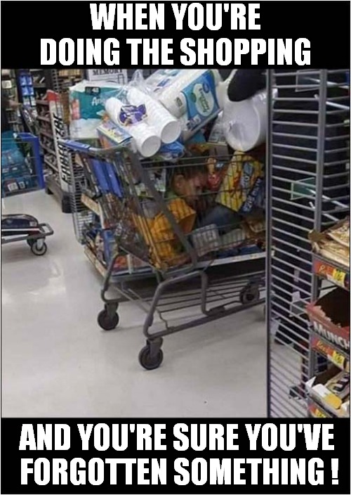 Do You Ever Get The Feeling... | WHEN YOU'RE DOING THE SHOPPING; AND YOU'RE SURE YOU'VE
 FORGOTTEN SOMETHING ! | image tagged in shopping cart,child,i think i forgot something | made w/ Imgflip meme maker