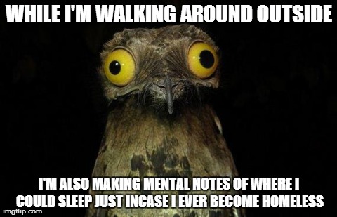 Weird Stuff I Do Potoo Meme | WHILE I'M WALKING AROUND OUTSIDE I'M ALSO MAKING MENTAL NOTES OF WHERE I COULD SLEEP JUST INCASE I EVER BECOME HOMELESS | image tagged in memes,weird stuff i do potoo | made w/ Imgflip meme maker