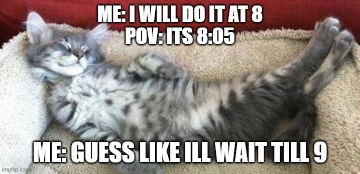 relaxed cat | ME: I WILL DO IT AT 8
POV: ITS 8:05; ME: GUESS LIKE ILL WAIT TILL 9 | image tagged in relaxed cat | made w/ Imgflip meme maker