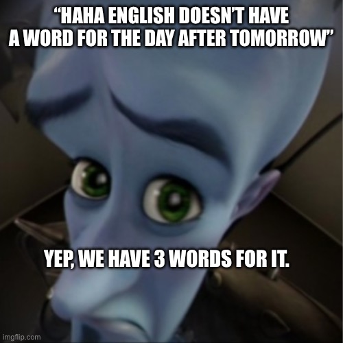 “In two days” | “HAHA ENGLISH DOESN’T HAVE A WORD FOR THE DAY AFTER TOMORROW”; YEP, WE HAVE 3 WORDS FOR IT. | image tagged in megamind peeking | made w/ Imgflip meme maker