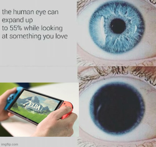 Eye pupil expand | image tagged in eye pupil expand | made w/ Imgflip meme maker