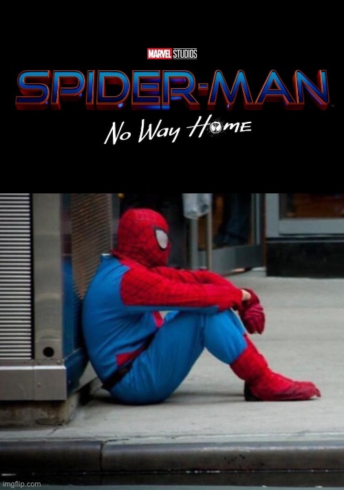 Spiderman: homeless | image tagged in no way home | made w/ Imgflip meme maker