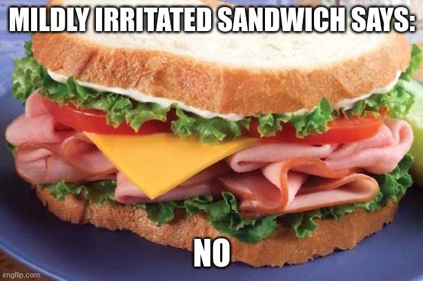 Sandwich | MILDLY IRRITATED SANDWICH SAYS: NO | image tagged in sandwich | made w/ Imgflip meme maker