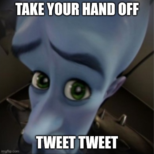Megamind peeking | TAKE YOUR HAND OFF; TWEET TWEET | image tagged in megamind peeking | made w/ Imgflip meme maker