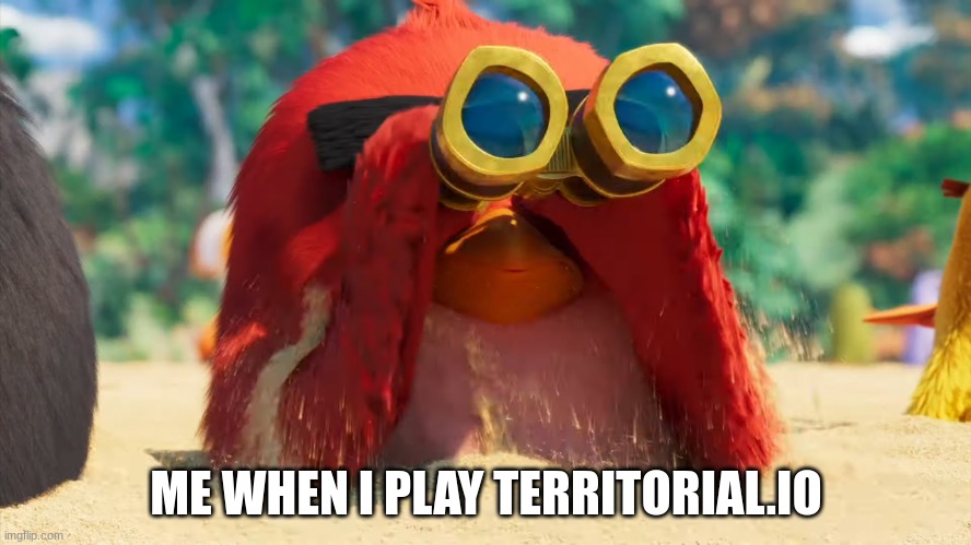 ... | ME WHEN I PLAY TERRITORIAL.IO | image tagged in red bird binoculars | made w/ Imgflip meme maker