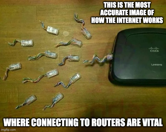 Split Coaxial Cables | THIS IS THE MOST ACCURATE IMAGE OF HOW THE INTERNET WORKS; WHERE CONNECTING TO ROUTERS ARE VITAL | image tagged in internet,memes | made w/ Imgflip meme maker