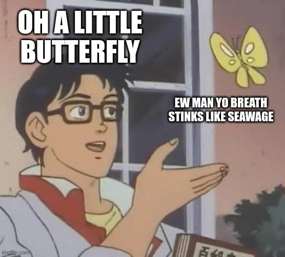 Is This A Pigeon |  OH A LITTLE BUTTERFLY; EW MAN YO BREATH STINKS LIKE SEAWAGE | image tagged in memes,is this a pigeon | made w/ Imgflip meme maker