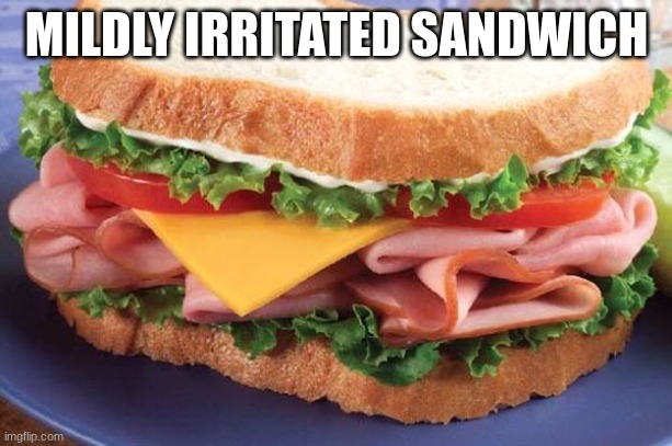 Sandwich | MILDLY IRRITATED SANDWICH | image tagged in sandwich | made w/ Imgflip meme maker