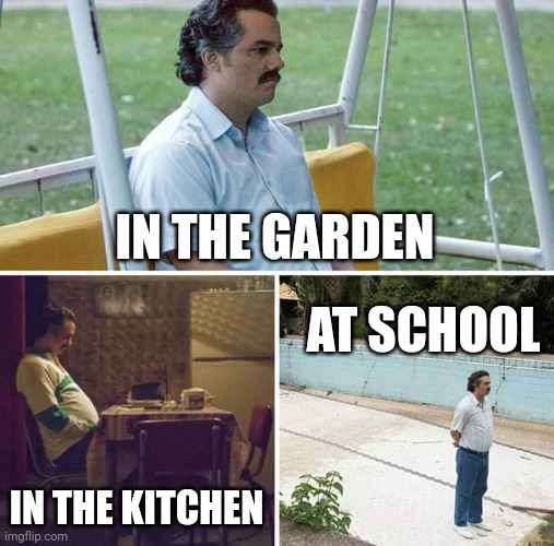 sad | IN THE GARDEN; AT SCHOOL; IN THE KITCHEN | image tagged in sad pablo escobar | made w/ Imgflip meme maker