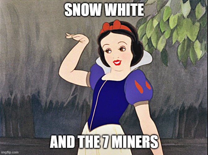 ByeFelicia-SnowWhite | SNOW WHITE; AND THE 7 MINERS | image tagged in byefelicia-snowwhite | made w/ Imgflip meme maker