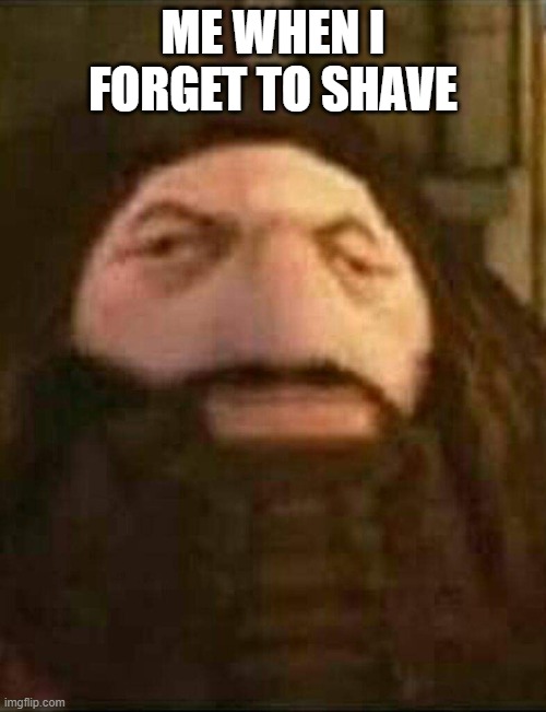 Forgetting to shave | ME WHEN I FORGET TO SHAVE | image tagged in funny,shave | made w/ Imgflip meme maker