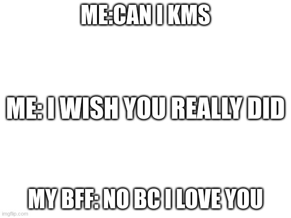 my life | ME:CAN I KMS; ME: I WISH YOU REALLY DID; MY BFF: NO BC I LOVE YOU | image tagged in idk | made w/ Imgflip meme maker