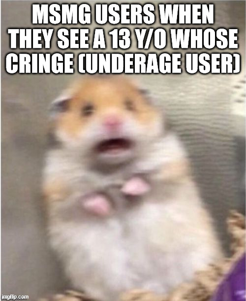 Scared Hamster | MSMG USERS WHEN THEY SEE A 13 Y/O WHOSE CRINGE (UNDERAGE USER) | image tagged in scared hamster | made w/ Imgflip meme maker