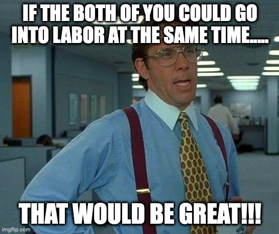 Multiple Family Pregancies | IF THE BOTH OF YOU COULD GO INTO LABOR AT THE SAME TIME..... THAT WOULD BE GREAT!!! | image tagged in memes,that would be great | made w/ Imgflip meme maker