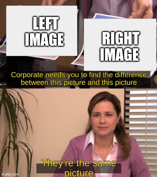 They are the same image | LEFT IMAGE RIGHT IMAGE | image tagged in they are the same image | made w/ Imgflip meme maker