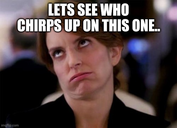 eye roll | LETS SEE WHO CHIRPS UP ON THIS ONE.. | image tagged in eye roll | made w/ Imgflip meme maker