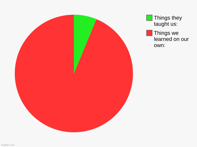 Things we learned on our own:, Things they taught us: | image tagged in charts,pie charts | made w/ Imgflip chart maker