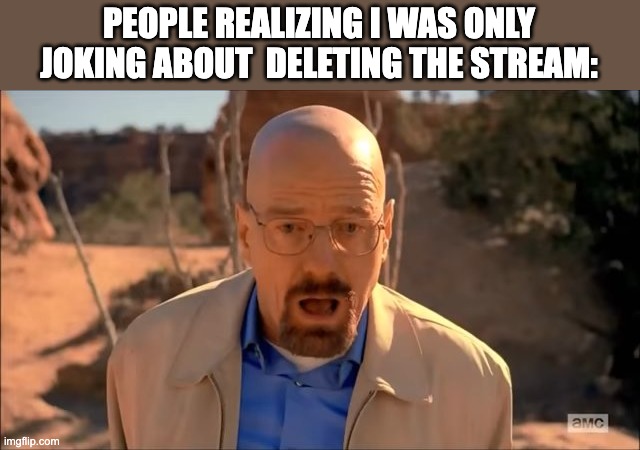 breaking bad waltuh | PEOPLE REALIZING I WAS ONLY JOKING ABOUT  DELETING THE STREAM: | image tagged in breaking bad waltuh | made w/ Imgflip meme maker