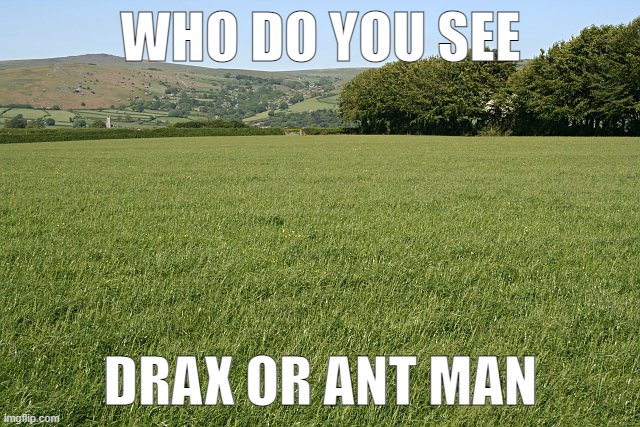 Answer in comments | WHO DO YOU SEE; DRAX OR ANT MAN | image tagged in grass,drax,ant man,what does the fox say,why is that a tag | made w/ Imgflip meme maker