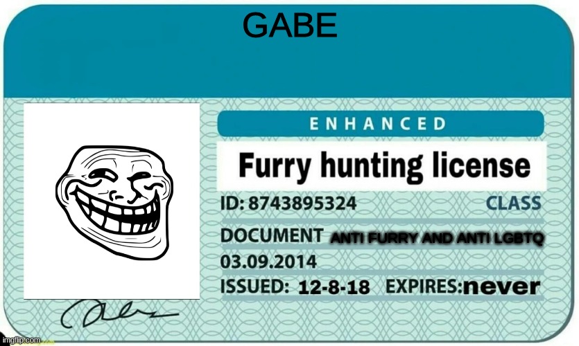 for you | GABE; ANTI FURRY AND ANTI LGBTQ | image tagged in furry hunting license | made w/ Imgflip meme maker