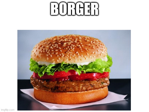 BORGER | image tagged in idk | made w/ Imgflip meme maker