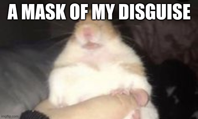 A MASK OF MY DISGUISE | made w/ Imgflip meme maker