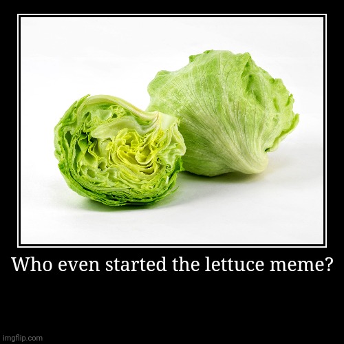 Who started lettuce | image tagged in funny,demotivationals | made w/ Imgflip demotivational maker
