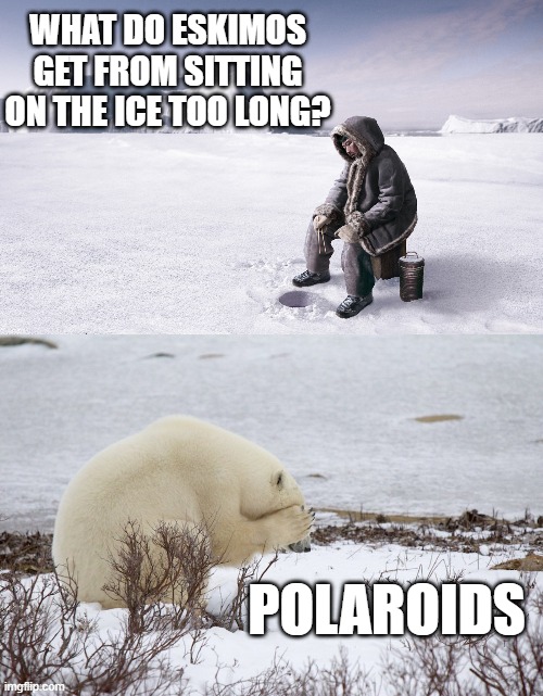 WHAT DO ESKIMOS GET FROM SITTING ON THE ICE TOO LONG? POLAROIDS | made w/ Imgflip meme maker