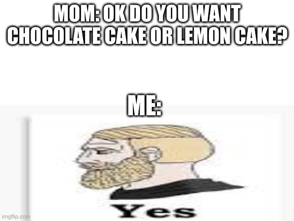 Y e s | MOM: OK DO YOU WANT CHOCOLATE CAKE OR LEMON CAKE? ME: | image tagged in yes | made w/ Imgflip meme maker