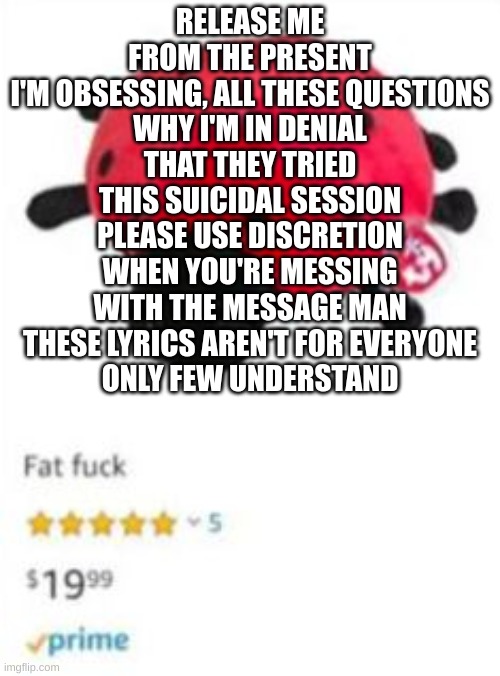 RELEASE ME FROM THE PRESENT
I'M OBSESSING, ALL THESE QUESTIONS
WHY I'M IN DENIAL
THAT THEY TRIED THIS SUICIDAL SESSION
PLEASE USE DISCRETION
WHEN YOU'RE MESSING WITH THE MESSAGE MAN
THESE LYRICS AREN'T FOR EVERYONE
ONLY FEW UNDERSTAND | made w/ Imgflip meme maker